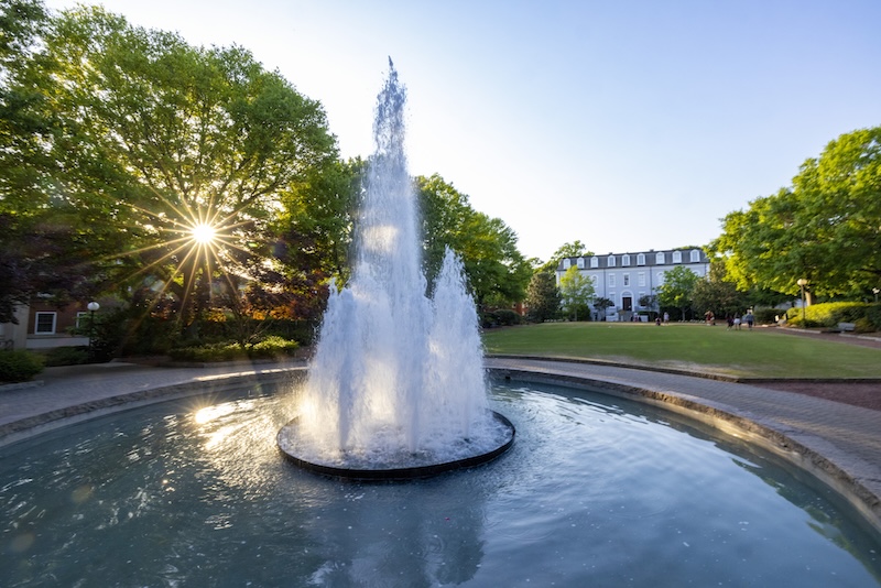 The Ralston Institute
